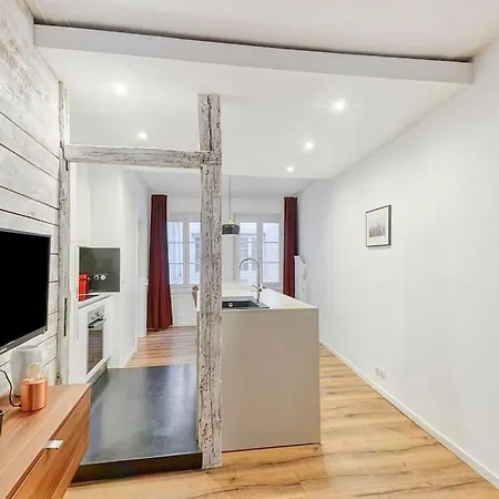 Le Cocoon Strasbourgeois - Joli Appt Dans Le Centre De Apartment Straßburg